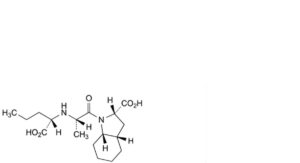 Perindopril Erbumine