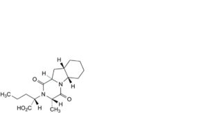 Perindopril Erbumine
