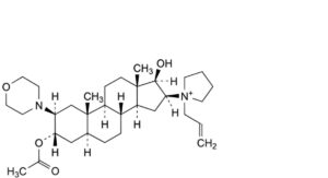 Rocuronium Bromide 