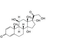 Prednisolone 