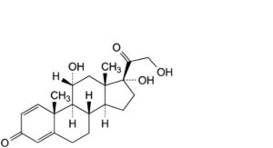 Prednisolone 