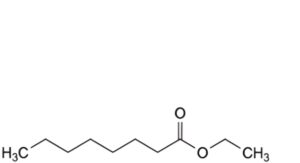 Octanoic Acid 