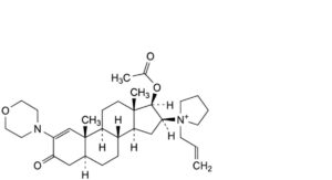 Rocuronium Bromide 