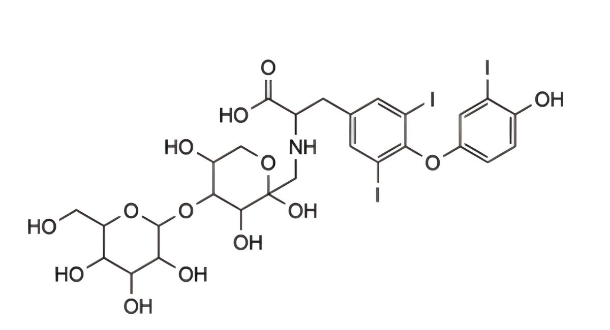 1. 3-(4-(4-hydroxy-3-iodophenoxy)-3,5-diiodophenyl)-2-(((4,5,6-trihydroxy-3-((3,4,5-trihydroxy-6- (hydroxymethyl)tetrahydro-2H-pyran-2-yl)oxy)tetrahydro-2H-pyran-2-yl)methyl)amino)propanoic acid (Liothyronine-lactose maillard impurity).