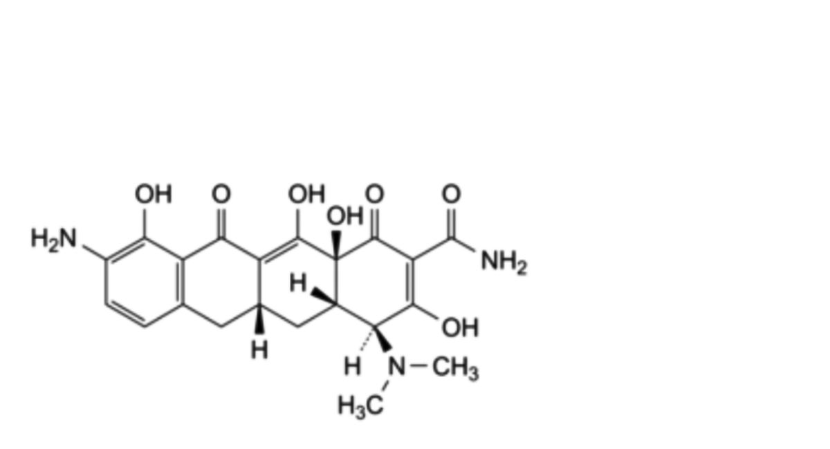 Minocycline Hydrochloride Dihydrate