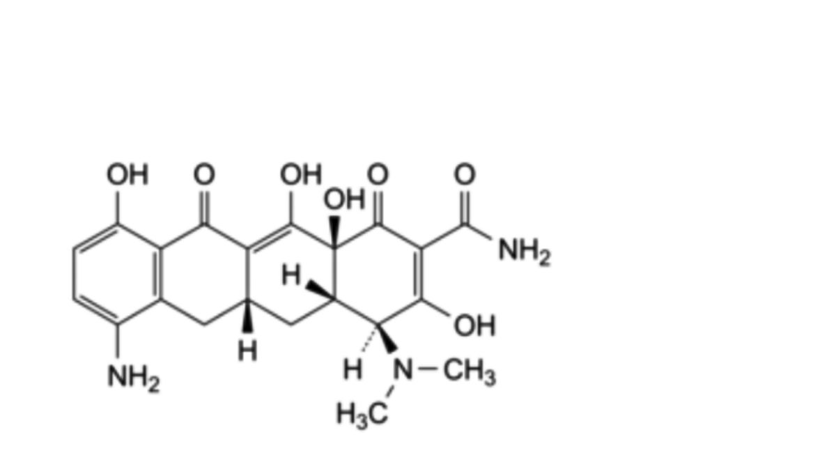 Minocycline Hydrochloride Dihydrate