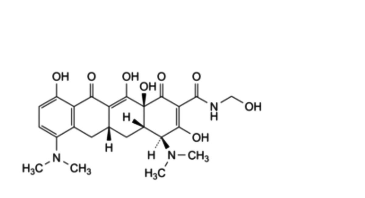Minocycline Hydrochloride Dihydrate