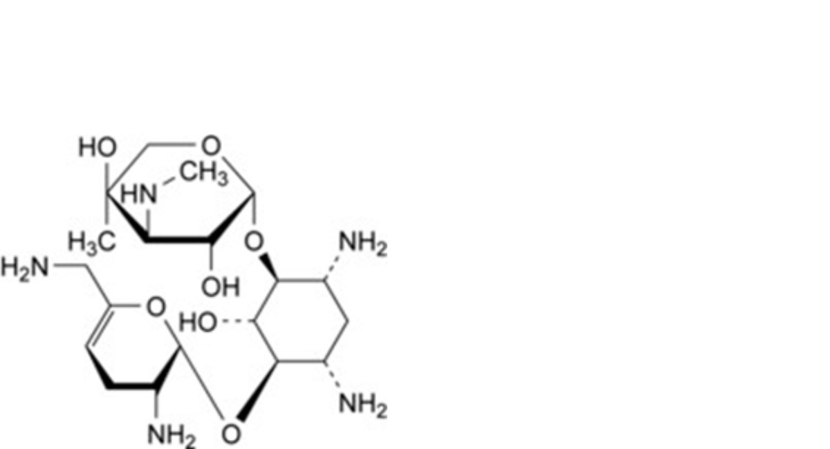 Netilmicin Sulfate