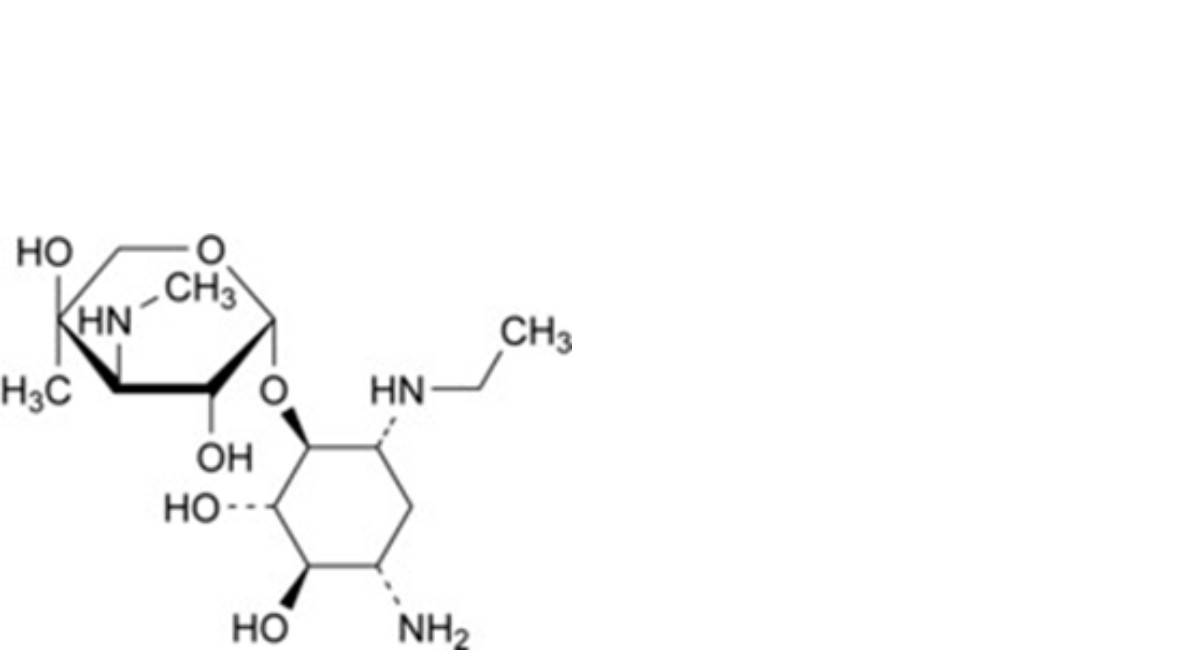 Netilmicin Sulfate