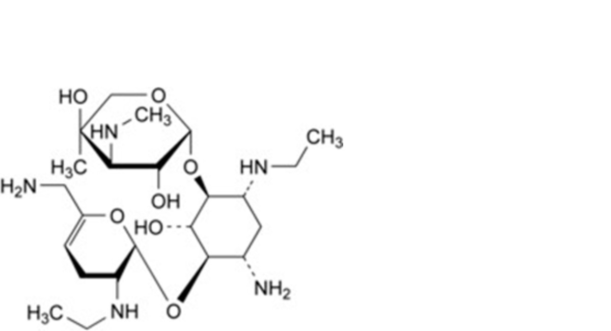 Netilmicin Sulfate