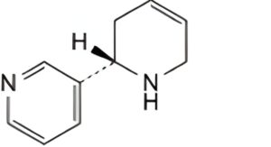 Nicotine Resinate