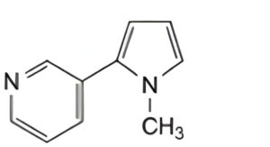 Nicotine Resinate