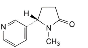 Nicotine Resinate