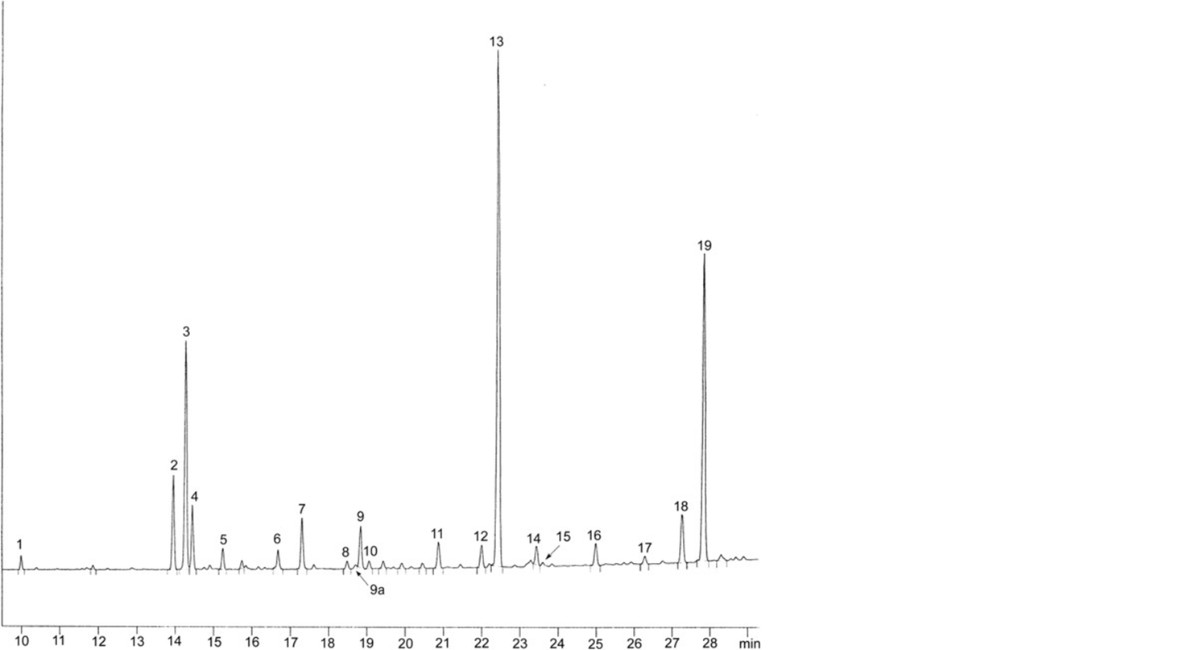 Omega-3-Acid Ethyl Esters 60