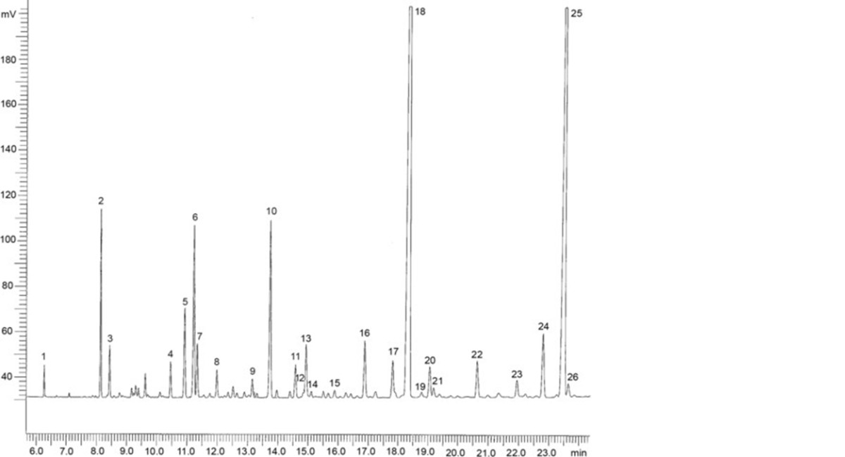 Omega-3-Marine Triglycerides