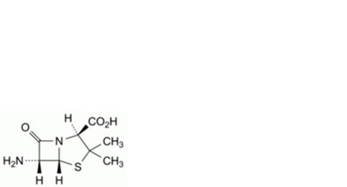 Oxacillin Sodium Monohydrate