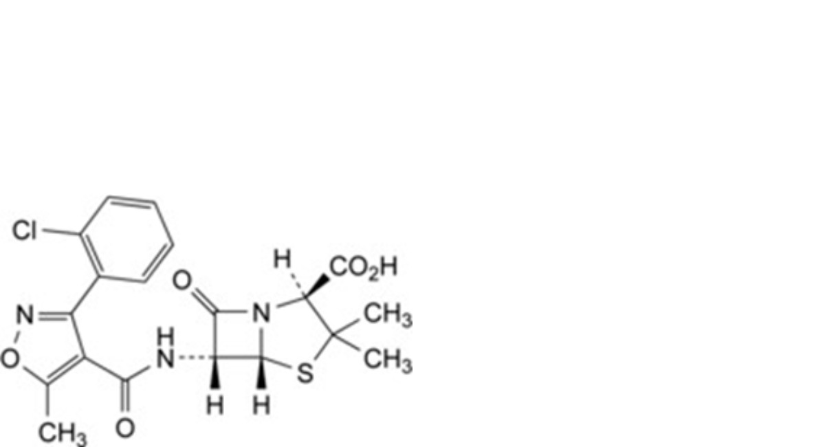 Oxacillin Sodium Monohydrate