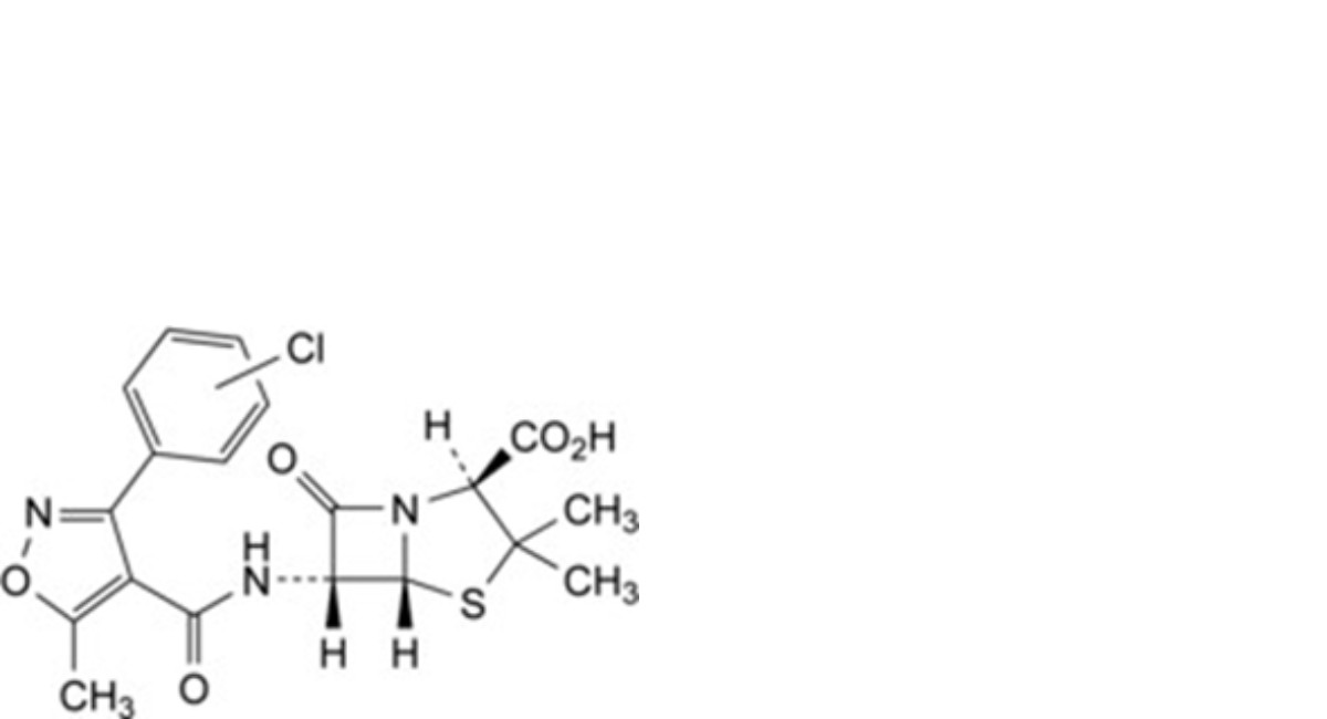 Oxacillin Sodium Monohydrate