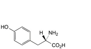 Phenylalanine 
