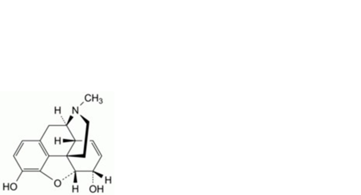 Pholcodine Monohydrate