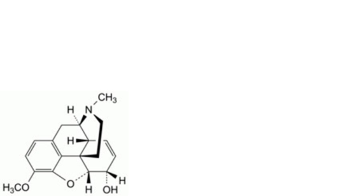 Pholcodine Monohydrate