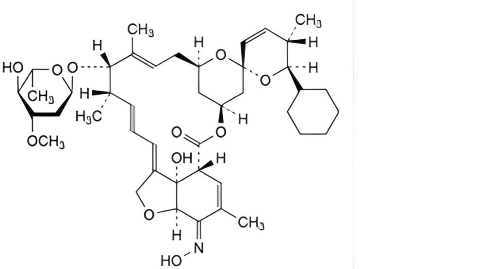 Selamectin- Definition, Characters- British Pharmacopoeia 2025