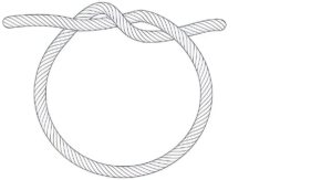 Sterile Catgut in Distributor