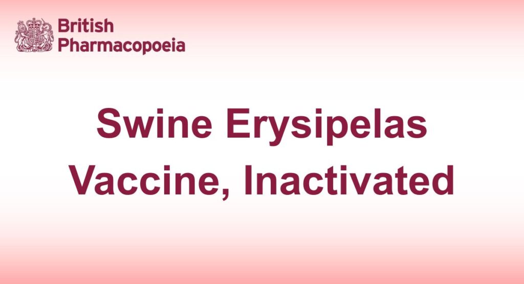 Swine Erysipelas Vaccine, Inactivated