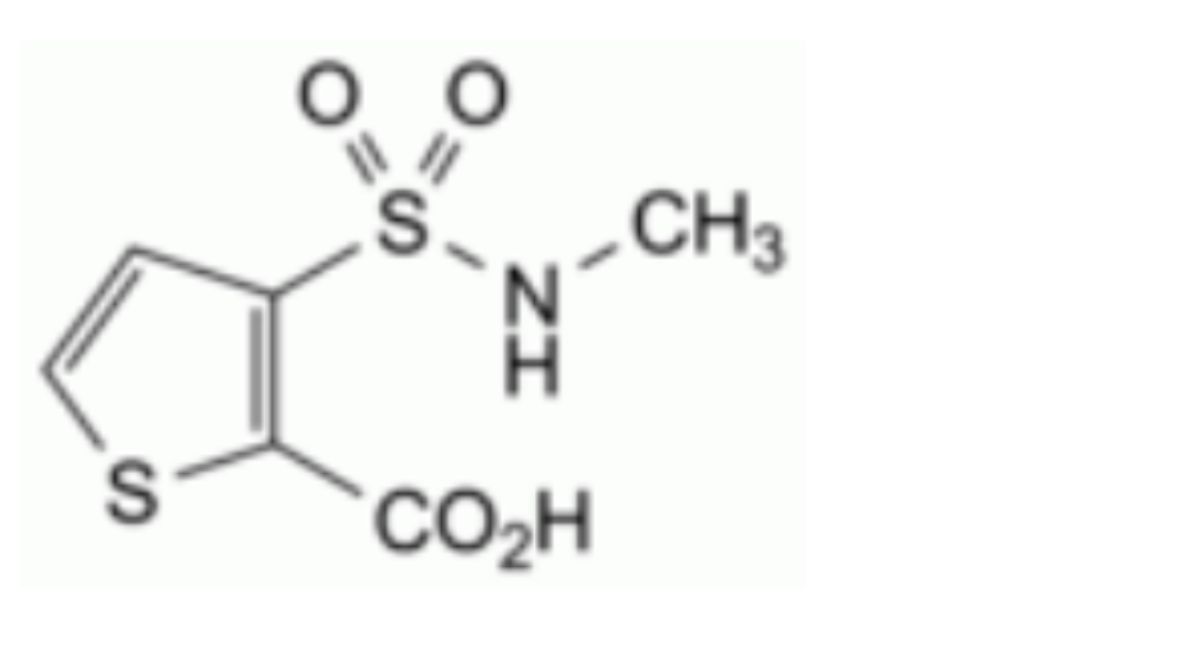 H. 3-[(methylamino)sulfonyl]thiophene-2-carboxylic acid.