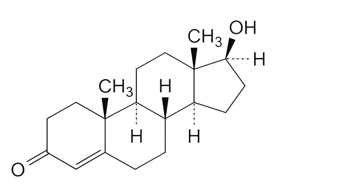 Testosterone