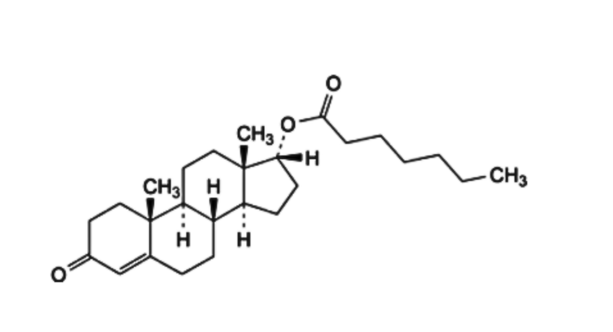 Testosterone Enantate