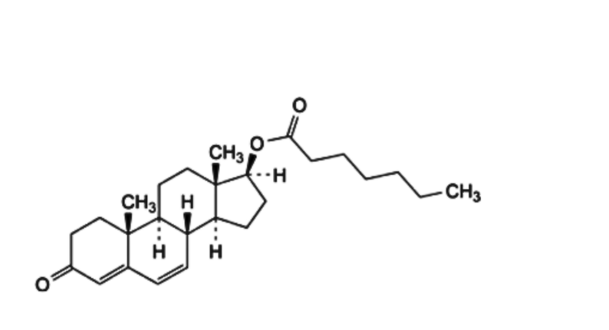 Testosterone Enantate