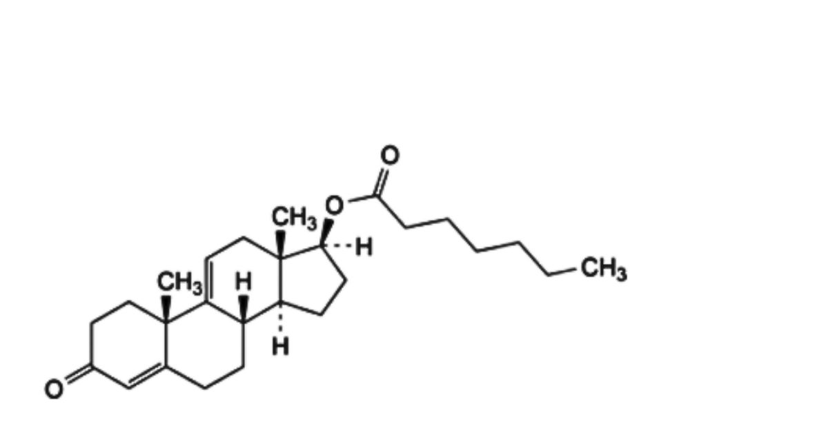 Testosterone Enantate