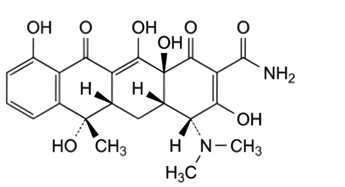 A. (4R,4aS,5aS,6S,12aS)-4-(dimethylamino)-3,6,10,12,12a-pentahydroxy-6-methyl-1,11-dioxo-1,4,4a,5,5a,6,11,12a octahydrotetracene-2-carboxamide (4-epitetracycline), 