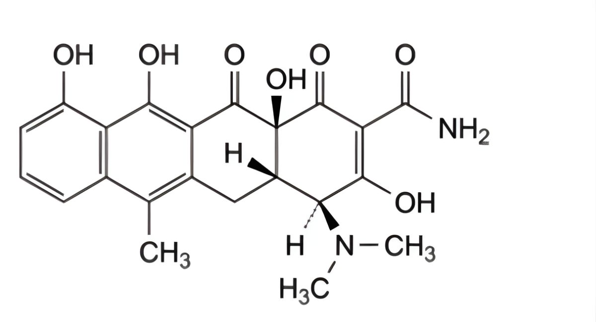 C. (4S,4aS,12aS)-4-(dimethylamino)-3,10,11,12a-tetrahydroxy-6-methyl-1,12-dioxo-1,4,4a,5,12,12a-hexahydrotetracene 2-carboxamide (anhydrotetracycline), 
