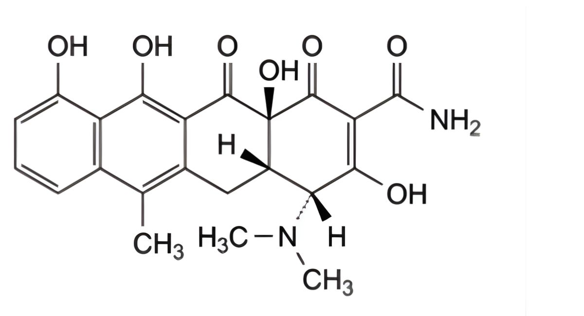 D. (4R,4aS,12aS)-4-(dimethylamino)-3,10,11,12a-tetrahydroxy-6-methyl-1,12-dioxo-1,4,4a,5,12,12a hexahydrotetracene-2-carboxamide (4-epianhydrotetracycline). 