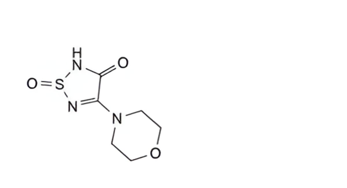 Timolol Maleate
