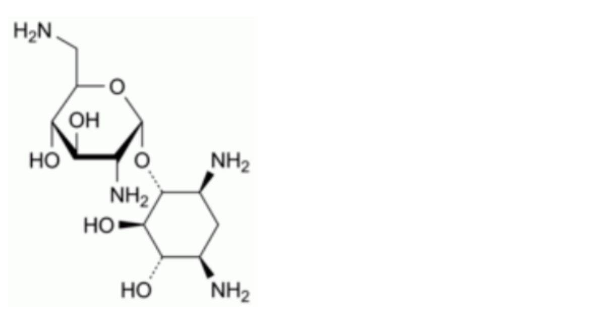 Neamine Tobramycin - Definition, Characters - British Pharmacopeia 2025