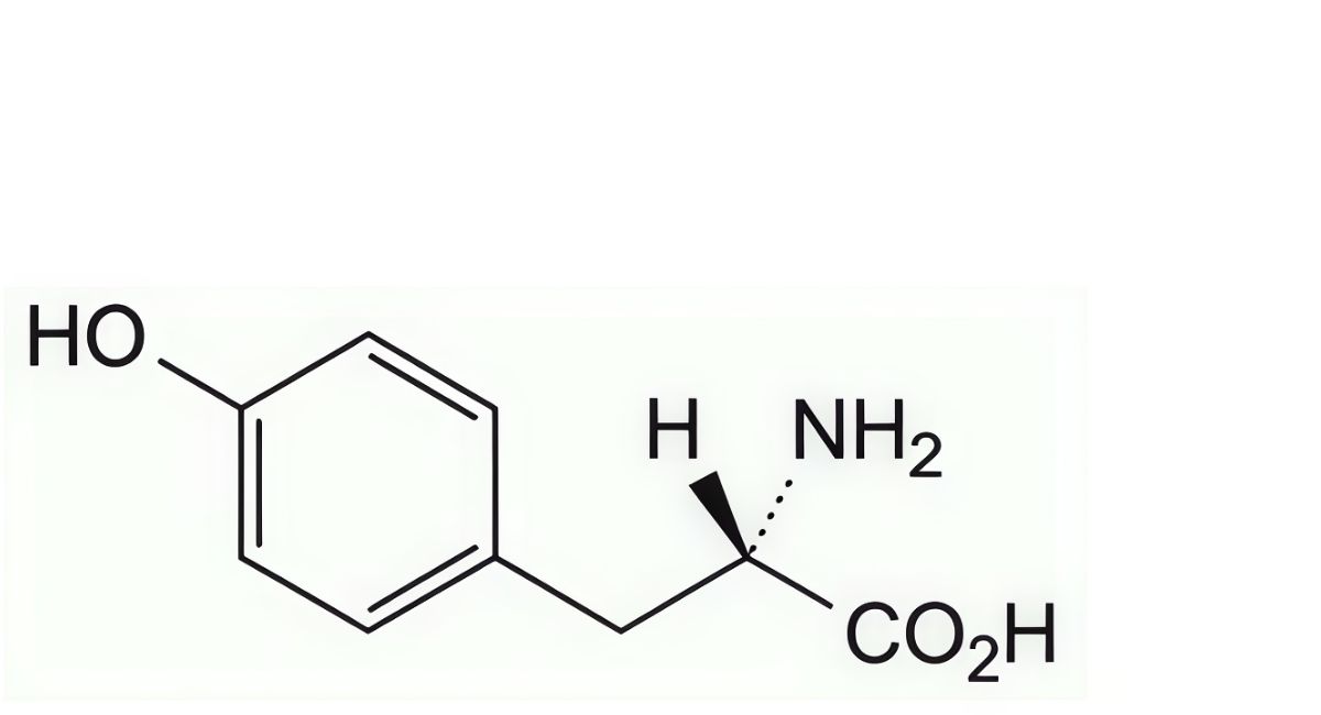 Tyrosine