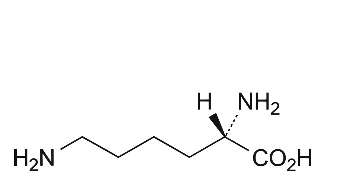 Tyrosine