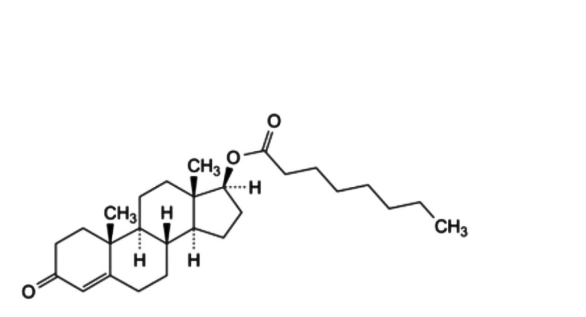 testosterone-decanoate