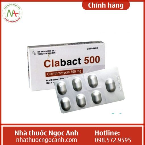 Thành phần thuốc Clabact 500
