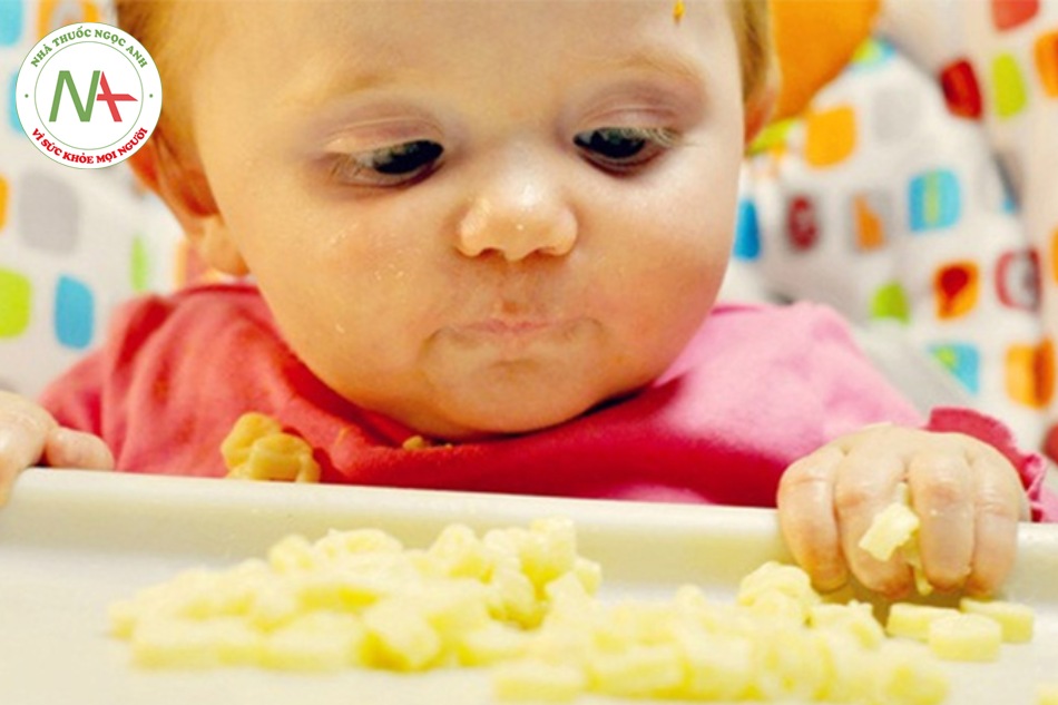 Nên cho bé ăn phô mai đúng liều lượng hợp lý, ăn nhiều quá sẽ gây thừa chất