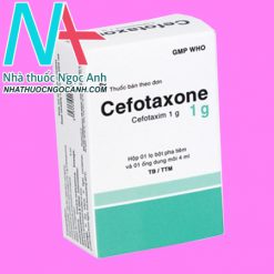 Hộp thuốc Cefotaxone 1g