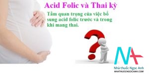 acid folic và thai kỳ