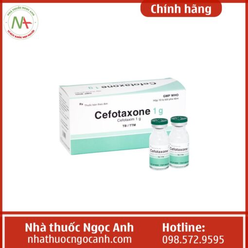 Thuốc cefotaxone 1 g là thuốc gì?