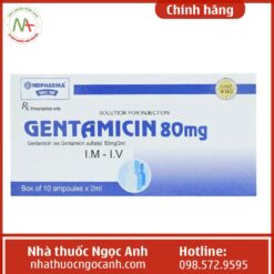 Chỉ định thuốc Gentamicin 80mg HDPHARMA
