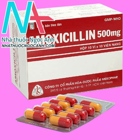 Hộp và vỉ thuốc Amoxicillin