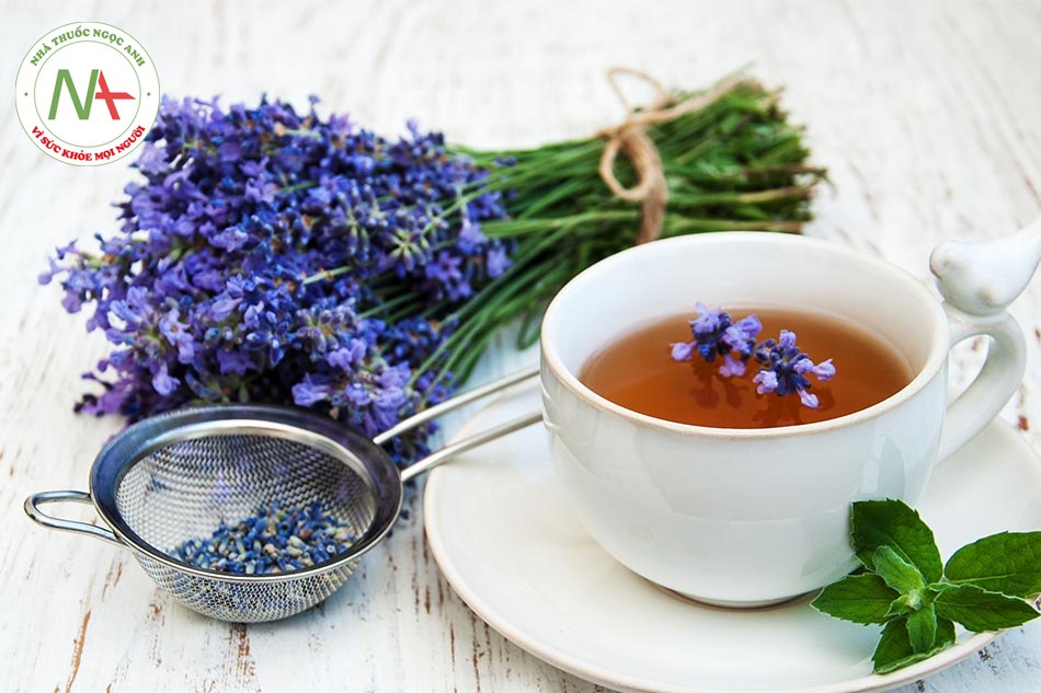 Ngoài trà hoa cúc thì trà oải hương giúp chữa mất ngủ sau sinh hiệu quả