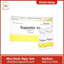 Thuốc Supzolin 1g là thuốc gì?